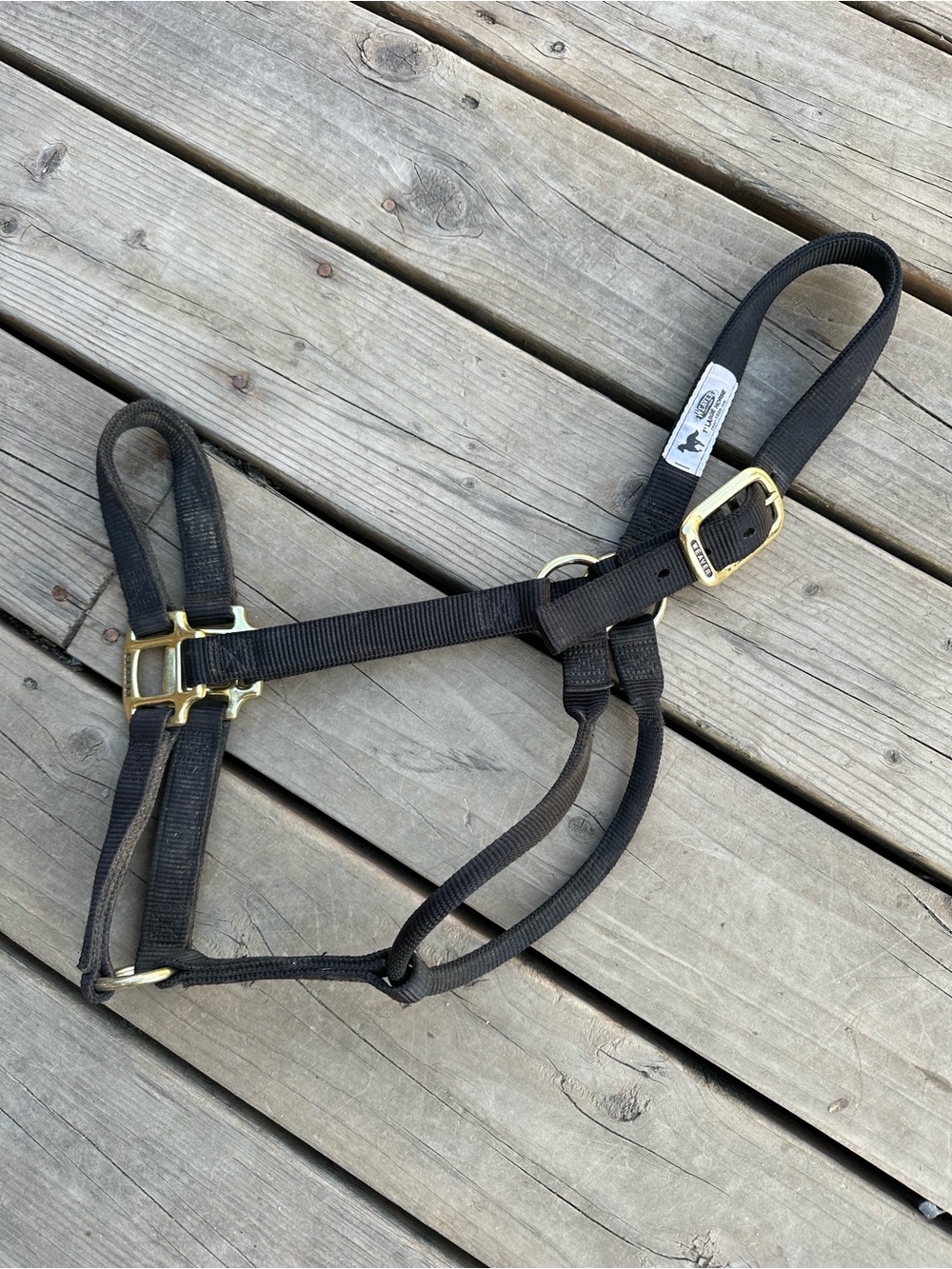 Horse Tack - Weaver Large Black Nylon Halter